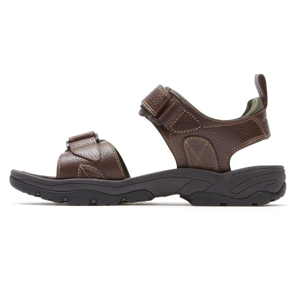 Rockport Mens SpringBoro Rocklake - Sandals Brown - WEN165789